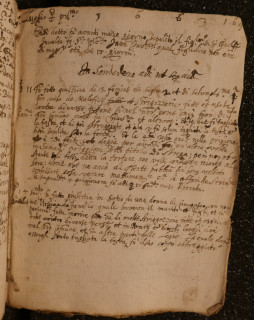Tagebuch des Andrea Salice von Samedan: die einzige Quelle zur Hexenverfolgung im Oberengadin