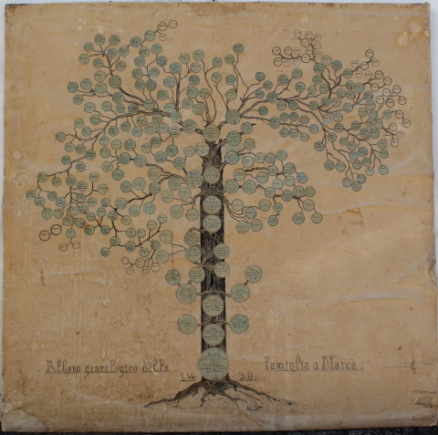 Albero genealogico famiglia a Marca ©Miriam Nicoli